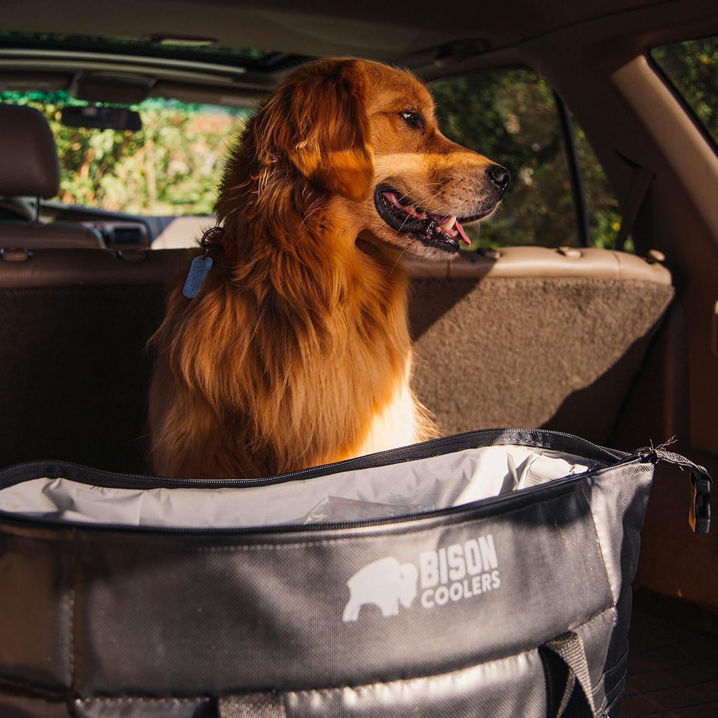 Softpak Series, Made in USA, Soft Cooler Bag Insulated Leak Proof for Beach, Travel, Camping, Picnic, Car, Trips, 24+ Hour Ice Retention