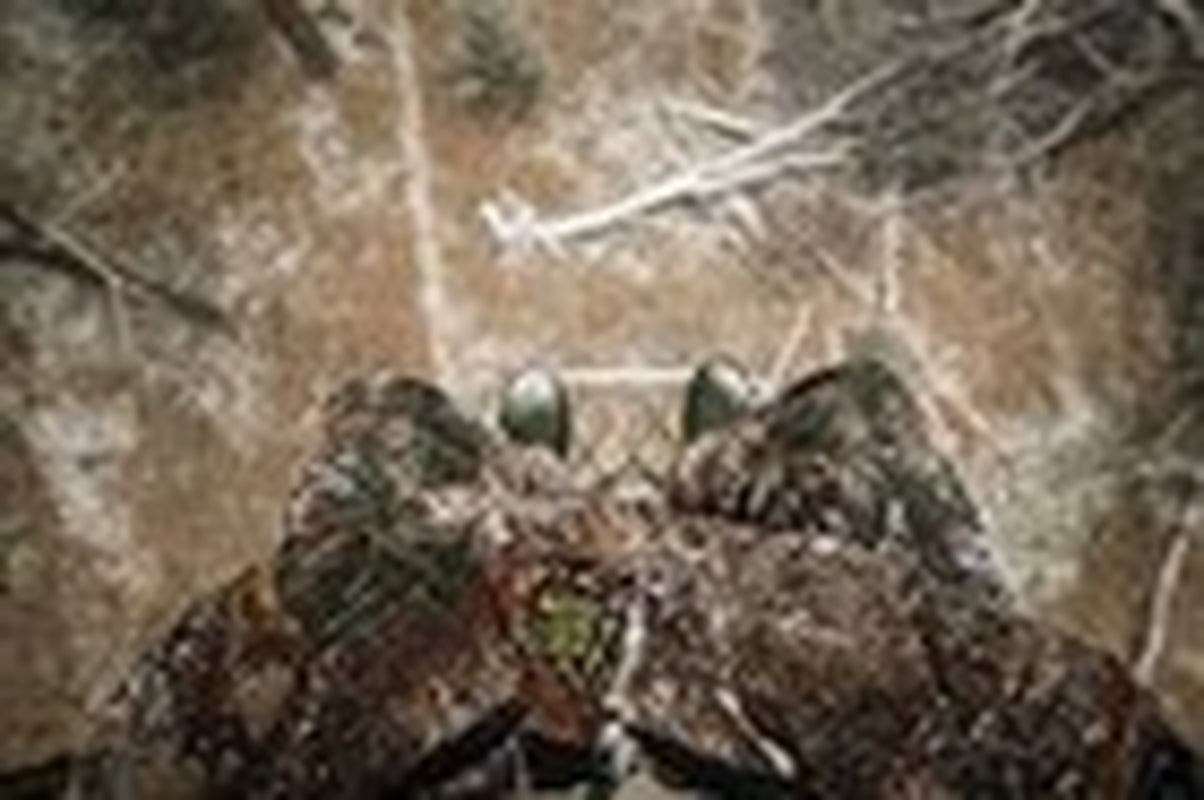 Hunter Safety System Muff Pak Hand Warmer, Realtree, Standard