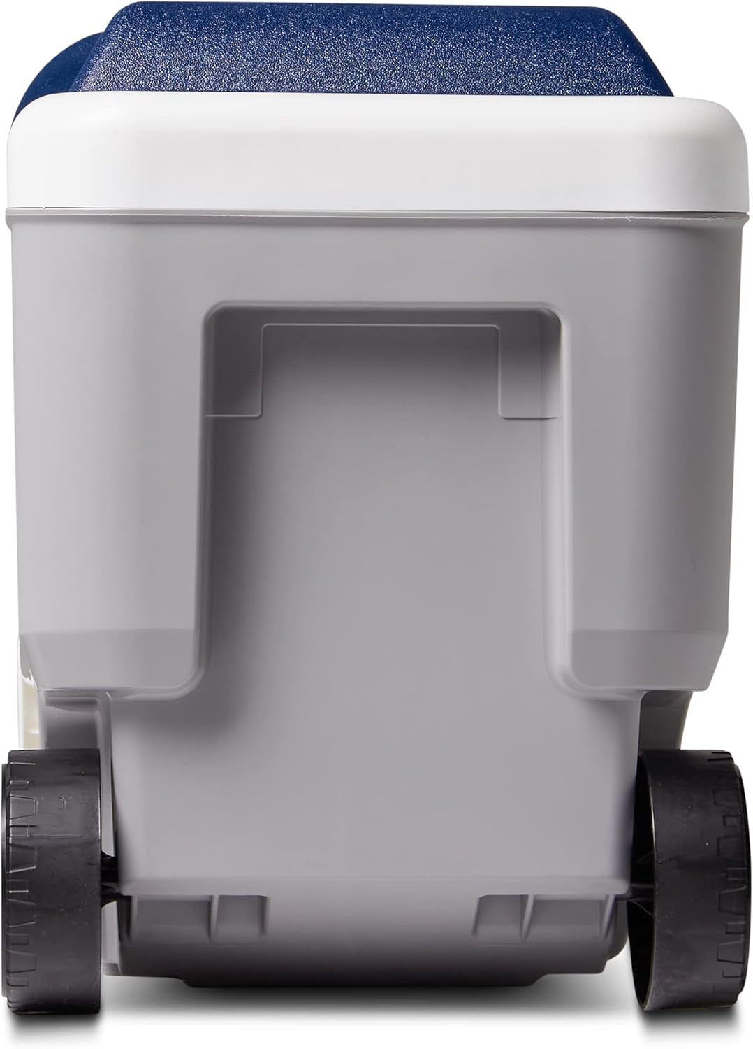 Maxcold 40-100 Qt Commercially Insulated Coolers