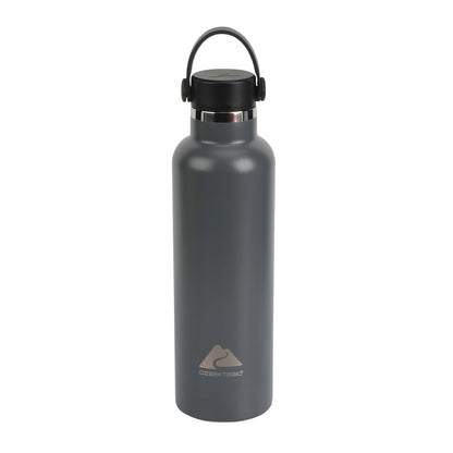 24 Fluid Ounces BPA FREE Double Wall Vacuum Sealed Stainless Steel Water Bottle with Handle, Gray